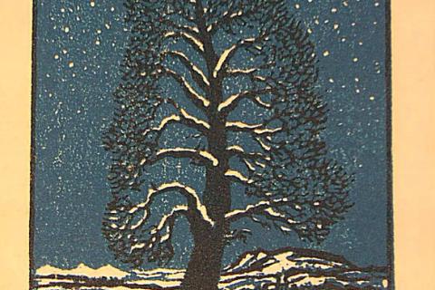 Carl Thiemann, Zasněžený strom