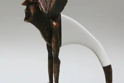 Dalibor Nesnídal, Ikaros