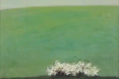 Jan Samec, Trnky, 1980-85