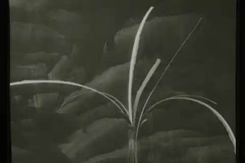 Zdeněk Halámek, Sigur ross